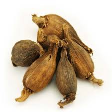 Image result for Aframomum corrorima