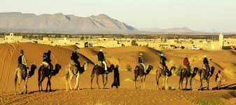 (recommendations?) we are interested in camel trek.night in desert.sandboard ( here is the full itinerary: 3 Nights Camel Excursion In Merzouga Sand Dunes Around Morocco Desert