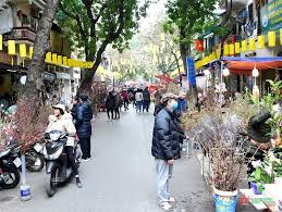 Rực rỡ sắc màu tại chợ hoa Hàng Lược (Hà Nội)