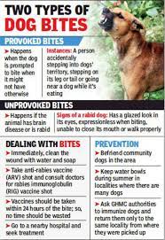 If an unvaccinated (or overdue for vaccination) dog or cat is exposed to a rabid animal or bites a human, the animal may be subjected to extended quarantine periods and, in some cases, euthanasia. Dog Bite With Anti Rabies