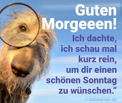 20 Lustige Bilder Mit Sprüchen Zum Wochenende