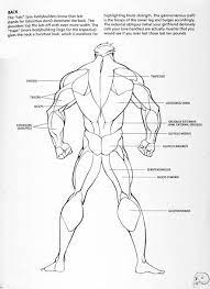 Having trouble finding good references? Pin On Cuerpo Completo Anatomia