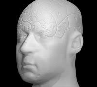 phrenology" 3D Models to Print