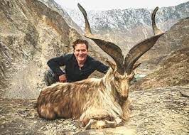 Maybe you would like to learn more about one of these? Us Hunter Pays 110 000 To Kill Pakistan S National Animal Markhor Pakistan News The Indian Express