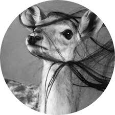 pin by fardosalj on افتار black art pictures cute profile pictures photography inspiration portrait