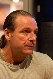 Patrik sjoeberg of sweden celebrates after winning the gold medal in the men's high jump event at the 2nd world athletics championships held at the. Patrik Sjoberg Wikipedia