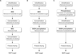 Start by making sure your daily cleaning tasks are already done, then mix equal parts white vinegar and water, and pour into the coffee machine as though you are making a cup of coffee. Enzymes Revolutionize The Bioproduction Of Value Added Compounds From Enzyme Discovery To Special Applications Sciencedirect