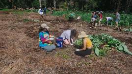 Hānai 'Āina Forest Restoration Day