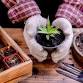 Shadoxhurst Gardening Club event image