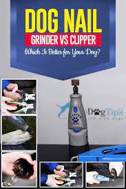 Nail Grinders Vs Clippers What S Better For Your Dog Dog Nail Grinder Dog Nail Clippers Dog Nail