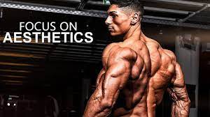 Mai quoc hau, head of the agriculture and rural development division of lai vung, said that the local authorities have known about the initiative of local farmers. Aesthetics Bodybuilding Motivation Workout 2019 Youtube