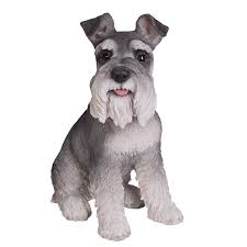 Long Hair Schnauzer Life Like Dog Glass Eyes Statue Salt Pepper Color Miniature Schnauzer Schnauzer Schnauzer Breed