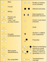 Symbols Used In Human Pedigree Analysis Biology Lessons