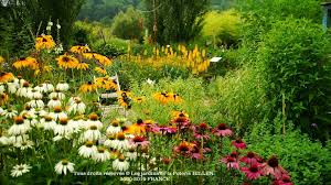 Galerie en bois, chemin des herbes aromatiques et plantes médicinales, chemin d'herbes et fleurs sauvages, jardins de fraîcheur, du sud, sauvage, intime, gourmand, contemporain, exotique avec bambous, palmiers, bananiers. Les Jardins De La Poterie Hillen Comite Des Parcs Et Jardins De France