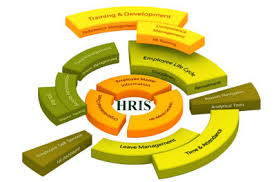 Hris has gained a considerable amount of traction among businesses of all sizes for their centralized approach to managing hr management. It Help In Human Resources Management Hris It Support Blogging