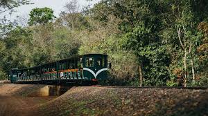Conocés el Tren Ecológico de la Selva? ?? Paseá a través de la selva a  bordo del Tren, con vagones totalmente abiertos al entorno natural. ¡Una  aventura para despertar todos tus sentidos!