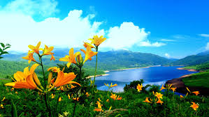 Home > nature wallpapers > page 6. Free Download Nature Wallpaper Hd Wallpapers Backgrounds Of Your Choice 3648x2052 For Your Desktop Mobile Tablet Explore 78 Hd Nature Wallpaper Beautiful Desktop Wallpapers And Backgrounds Hd Wallpaper Downloads