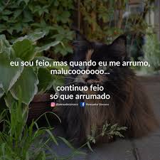 Pensador Sincero On Twitter Nao Tem Milagre Tambem Ne