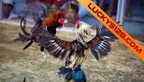 We did not find results for: Agen Sabung Ayam Taji Pisau Live S128 Dan Sv388