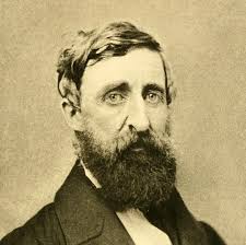 Pay Attention!. The Tao of Thoreau, Part Two