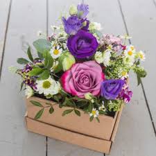 We did not find results for: Blumen Elke Drewes Blumen Floristik Grabpflege Und Gartnerei In Herford