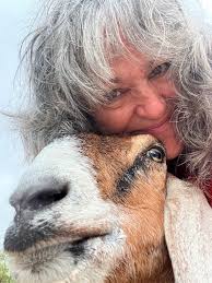 Will baby goat be okay in 37-degree weather?