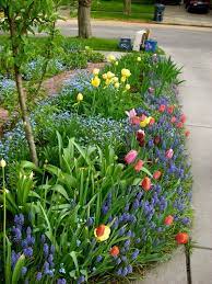 Artofgardening Org Tulip Bed Time Story Small Flower Gardens Garden Ideas Along Driveway Garden Bulbs