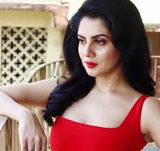 Hot movie making payel indian actress payel movie making video 2020. 10 Payel Sarkar Photos Age Height Movies More