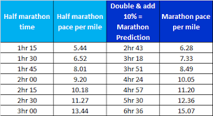 race prediction how fast should you run art of your success