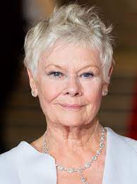 Short Hairstyles For Thin Hair For Older Women Google Search Older Women Hairstyles Short Hair Styles Haircut For Older Women