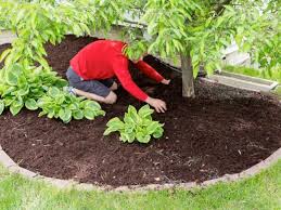 If the plants are suffocated remove some of it. Apply These Tips When Spreading Organic Mulch Advanced Insurance Solutions In Hershey Pa