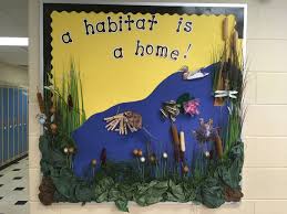Ecosystems Elementary Bulletin Board Rhms Elementary Bulletin Board Bulletinboard Science Teachers Elementary Bulletin Boards Bulletin Boards Habitats