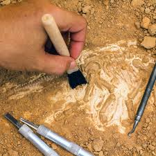 This fact should always be remembered when using radiocarbon. Agilent Technologies Blog The Story Of Radiocarbon Dating