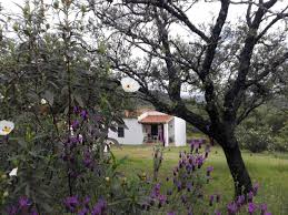 Situadas sobre terrazas escalonadas, desde sus miradores puede contemplar la sierra y el río. Casas Rurales En Huelva Recomendadas