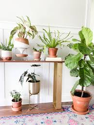 Discover out diy plant pot ideas that will help you put the most stunning plant displays around your home. 3 Things You Must Do When Using Terracotta Pots Paisley Sparrow