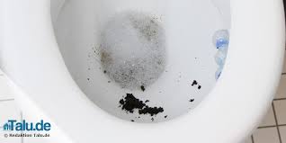 Urinstein entsteht durch eine chemische reaktion von kalkhaltigem wasser mit dem urin. Urinstein Entfernen So Wird Die Toilette Blitzsauber Talu De