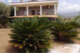 Bahar Bahce Datca Otel