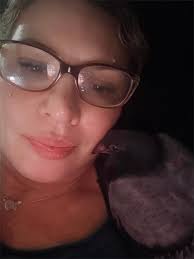 How to help a baby pigeon with a deformed leg in Manhattan?