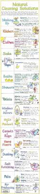 Liz Cook Natural Cleaning Solutions Chart
