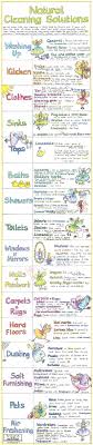 Liz Cook Natural Cleaning Solutions Chart