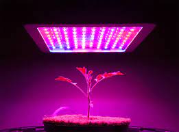 Light emitting diode lights over the past few years have become more popular. Best Led Grow Lights