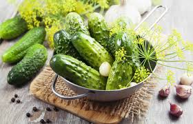 Many were content with the life they lived and items they had, while others were attempting to construct boats to. 12 Fascinating Pickle Facts