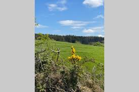 We did not find results for: Mary Jane S Cottage Holiday Home Omagh
