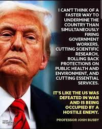 Liz Cheney/Adam Kinzinger Against Trump