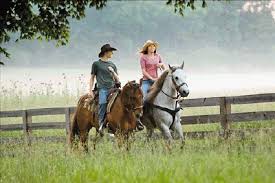 images?q=tbn:ANd9GcS3FJFJYmNbDFUez07jekH