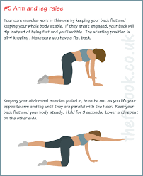 Pin On Core Exercises For Beginners