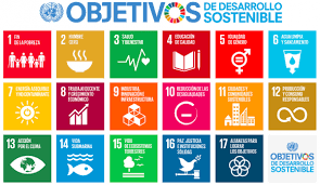 Resultado de imagen de cuaderno de sostenibilidad y sociedad