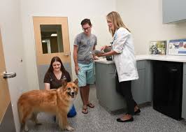 Adopt a pet from the aspca. Veterinary Center St Pete Pet Care Spca Tampa Bay