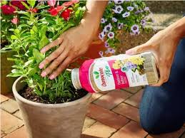 Maybe you would like to learn more about one of these? Best Fertilizers Of 2020