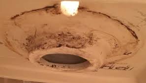 Remove all traces of the wax ring from the floor, the drain and the toilet with scraper. Toilet Wax Ring How It Works Sizes Leaks Replacement Toilet Haven
